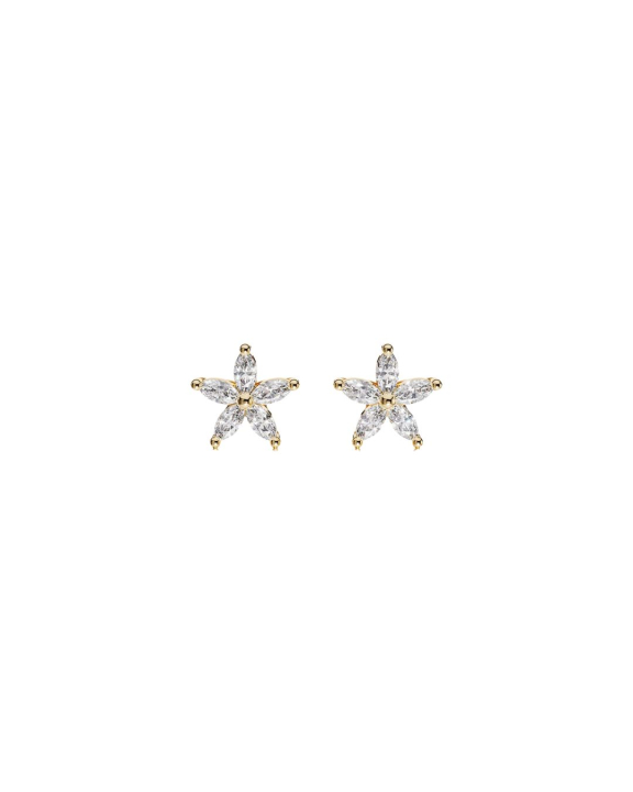 ANI Jewels - Flower Studs Gold