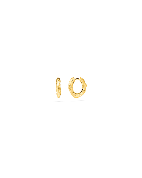 ANI Jewels - Sole Huggie Hoops Gold