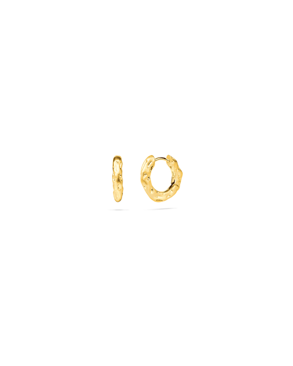 ANI Jewels - Sole Huggie Hoops Gold