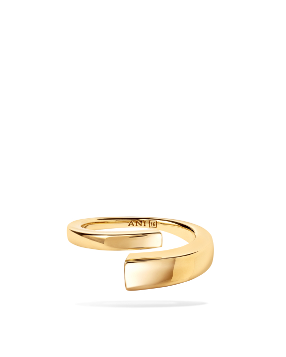 ANI Jewels - Pen Ring Gold - Guldring