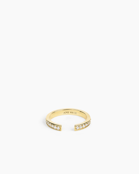 ANI Jewels - Aperto Pavé Ring Gold - Guldring