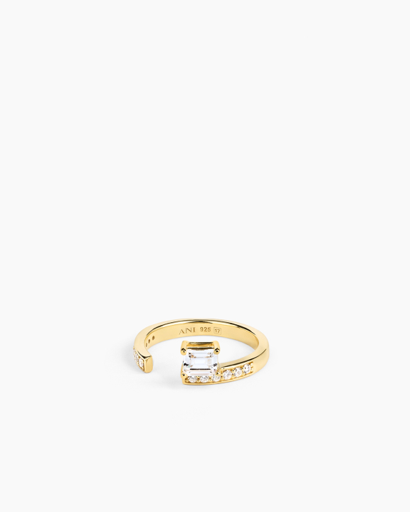 ANI Jewels - Sopra Aperto Pavé Ring Gold - Guldring