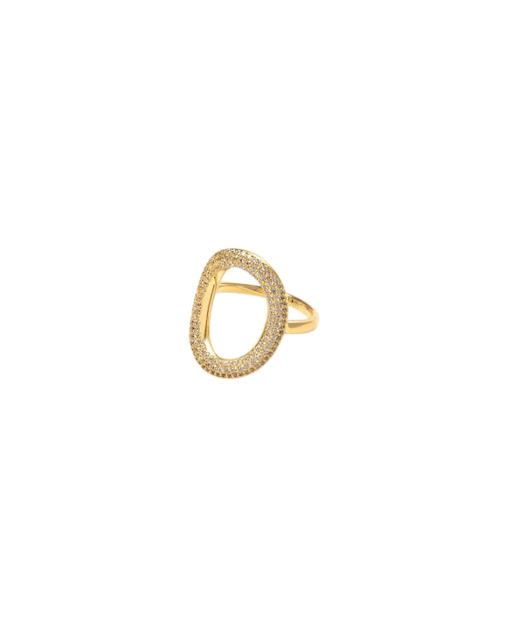 ANI Jewels - Dynasty Ring Gold - Guldring