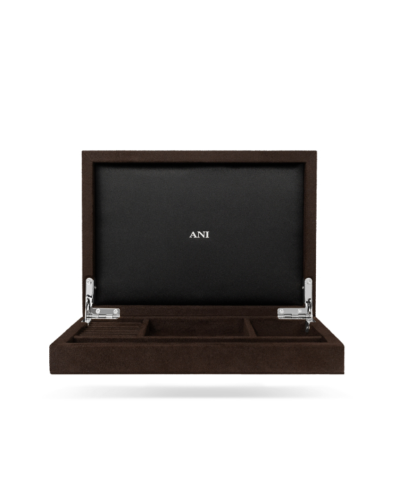 ANI Jewels - Jewelry Case