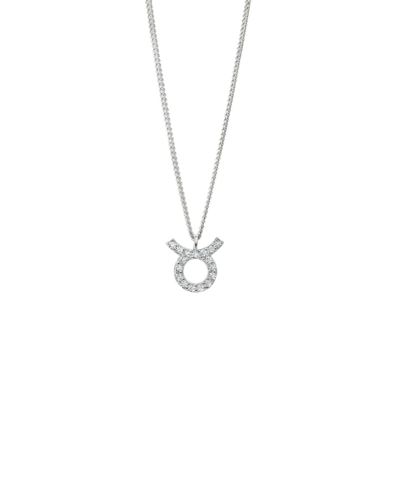 Zodiac Necklace Silver