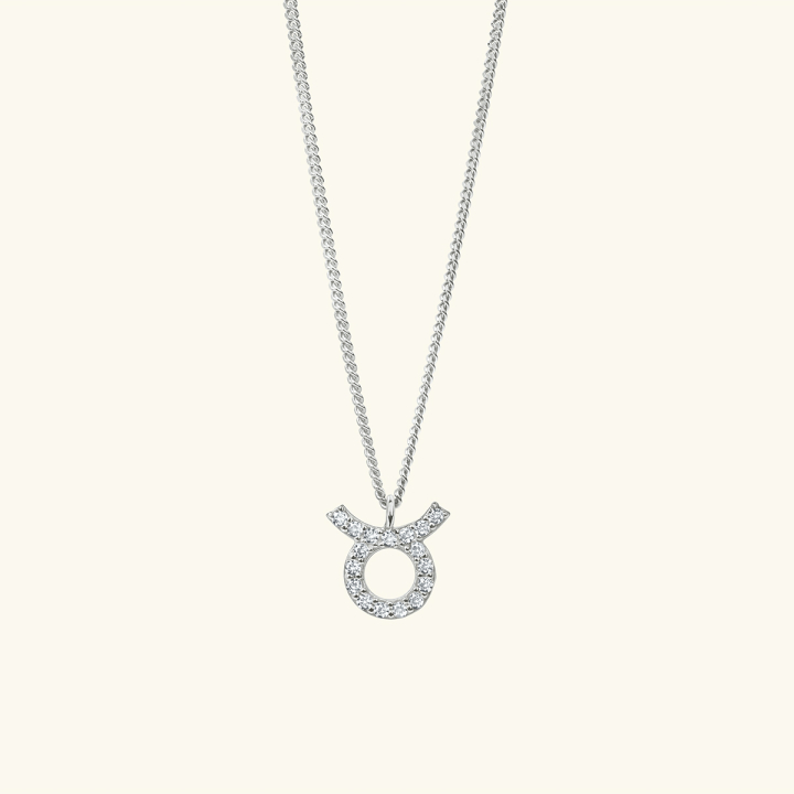 ANI Jewels - Zodiac Necklace Silver - Silverhalsband