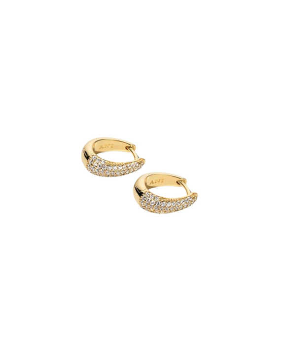 ANI Jewels - Pavé Ellipse Earrings Gold - Guldörhängen