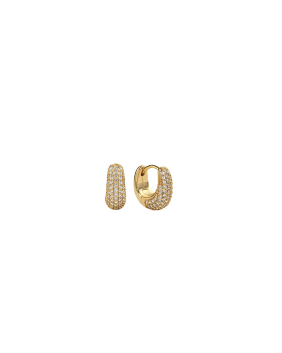 ANI Jewels - Pavé Dome Huggies Gold