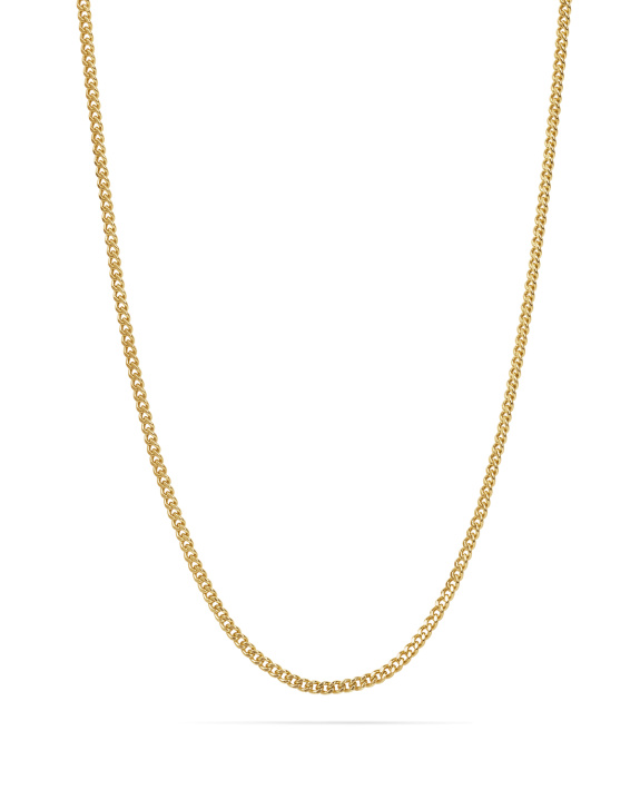 Flat Chain Gold - 47 cm i gruppen Shop / Halsband hos ANI (ANI-0125-31)