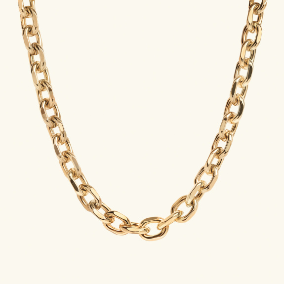 Chain Necklace Large Gold i gruppen Shop / Halsband hos ANI (ANI-0623-001)