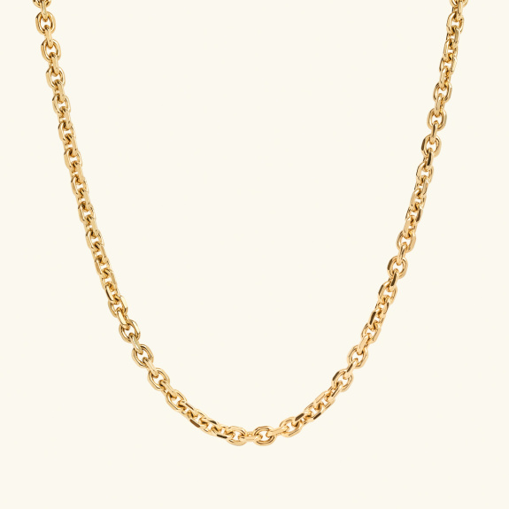Chain Necklace Small Gold i gruppen Shop / Halsband hos ANI (ANI-0623-003)