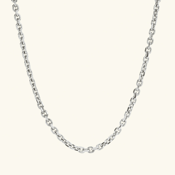 Chain Necklace Small Silver i gruppen Shop / Halsband hos ANI (ANI-0623-004)