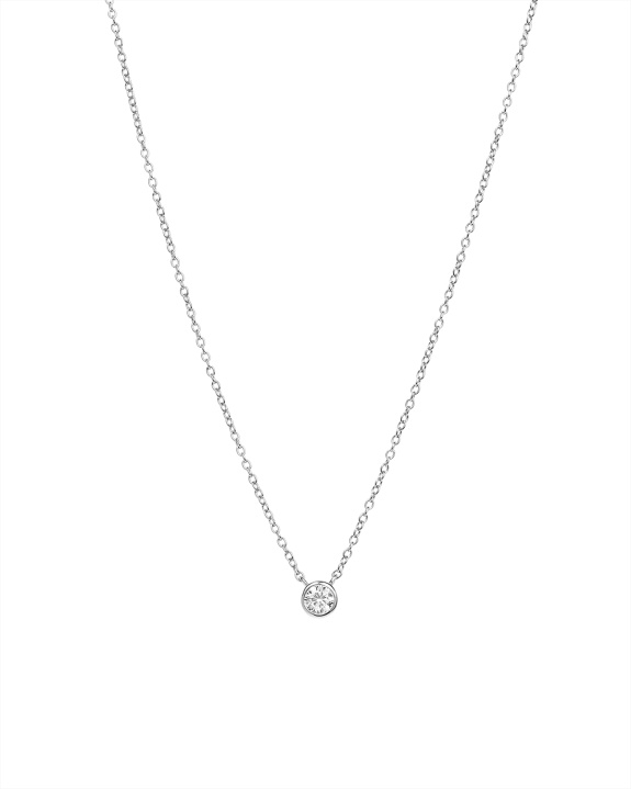 Bezel Chain Necklace Silver i gruppen Shop / Halsband hos ANI (ANI-1024-002)