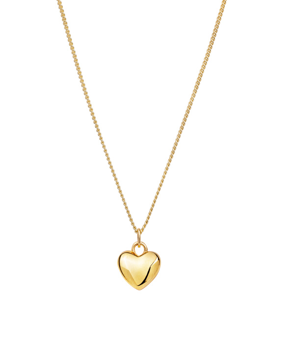 Heart Necklace Gold i gruppen Shop / Halsband hos ANI (ANI_SET_050)