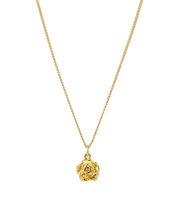 Rose Necklace Gold i gruppen Shop / Halsband hos ANI (ANI_SET_063)