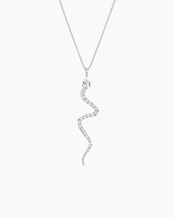 Serpente Necklace Silver i gruppen Shop / Halsband hos ANI (ANI_SET_085)
