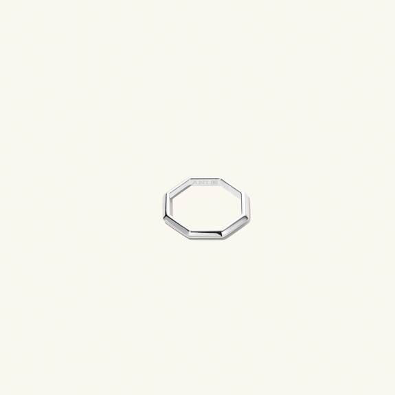 Triangle Octagon Ring Silver i gruppen Shop / Ringar hos ANI (ANI_VA_024)