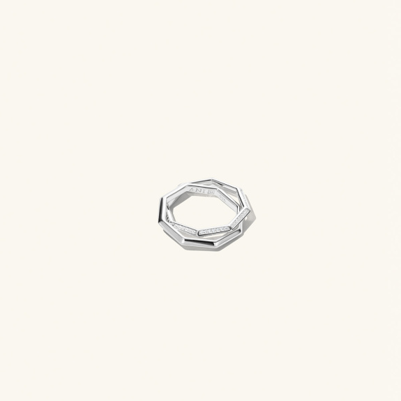 Double Octagon Ring Silver i gruppen Shop / Ringar hos ANI (ANI_VA_032)