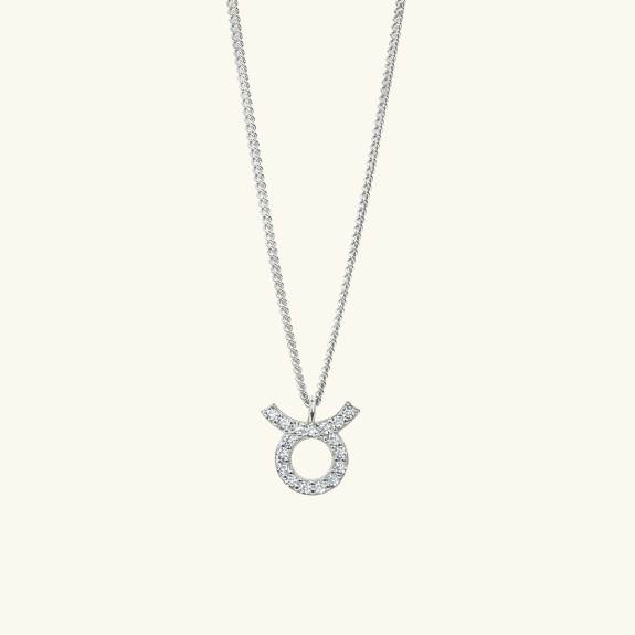 Zodiac Necklace Silver i gruppen Shop / Halsband hos ANI (ANI_VA_037)