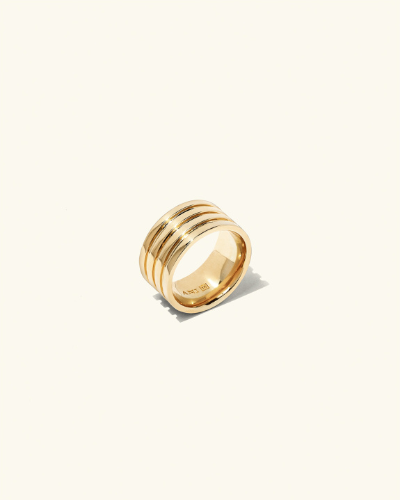 Nezza Ring Gold i gruppen Shop / Ringar hos ANI (ANI_VA_072)