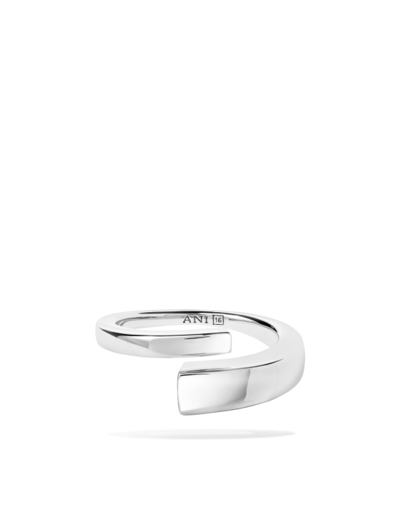 Pen Ring Silver i gruppen Shop / Ringar hos ANI (ANI_VA_091)